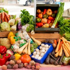 vegetables assortment